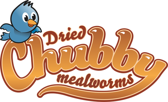 Chubby Mealworms